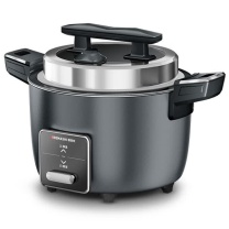 德玛仕 DEMASHI 商用电饭锅 FR100-E1 10L