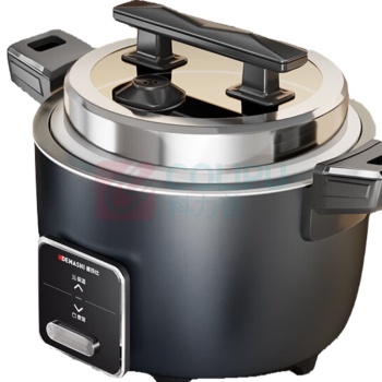 德玛仕 DEMASHI 商用电饭锅 FR100-E1 10L