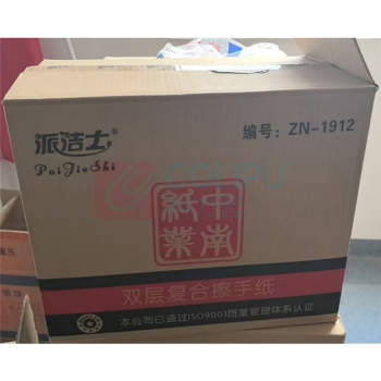 派洁士 双层复合擦手纸 ZN-1912 120抽 20包/箱