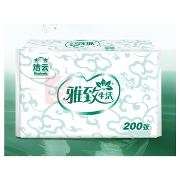 洁云 Hygienix 抽取式擦手纸 L230mm×B225mm 双层 200张/包 20包/箱