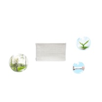 洁云 Hygienix 擦手纸 156110 单层 225*228mm 200张/包 20包/箱 (仅限华东华北华南供货)
