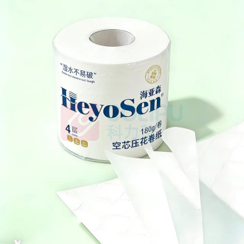 海亚森 HAIYASEN 空芯压花卷筒卫生纸 M3012 四层 180g/卷 10卷/提