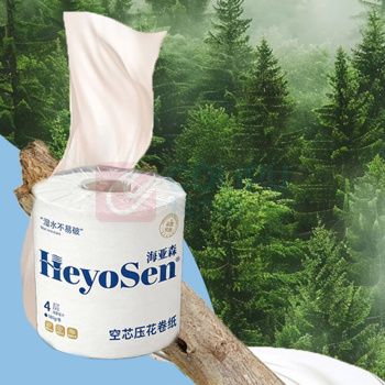 海亚森 HAIYASEN 空芯压花卷筒卫生纸 M3012 四层 180g/卷 10卷/提