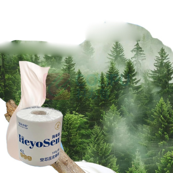 海亚森 HAIYASEN 空芯压花卷纸4层140g/卷 10卷/提 卷纸(计价单位:提)白色 M3011