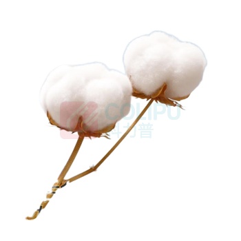 全棉时代 PURCOTTON M码爆款棉柔巾-60片/包 48包/箱