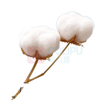 全棉时代 PURCOTTON 便携棉柔巾-20片/包 120包/箱
