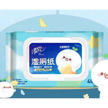 清风 湿厕纸 40片