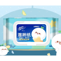 清风 湿厕纸 40片