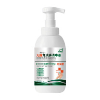 洗得宝 免洗手消毒液 无醇免洗泡沫 500ml/瓶 24瓶/箱