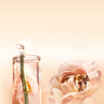兰蔻 LANCOME 精华 新菁纯 30ml