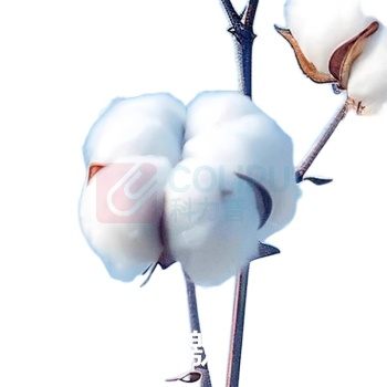 德佑 DEEYEO 洗脸巾 200mm*200mm 100抽/6包 100%全棉加大加厚棉柔巾