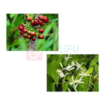 冷酸灵 牙膏 100g 草本护理