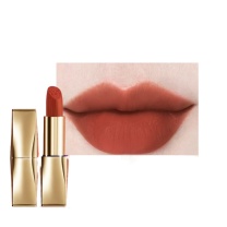雅诗兰黛 Estee Lauder 绒雾哑光口红 626#潇洒随杏色