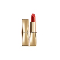 雅诗兰黛 Estee Lauder 绒雾哑光口红 333#干枫叶色