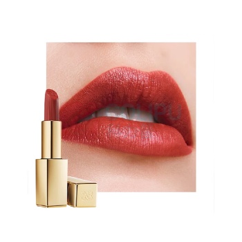 雅诗兰黛 Estee Lauder 绒雾哑光口红 333#干枫叶色