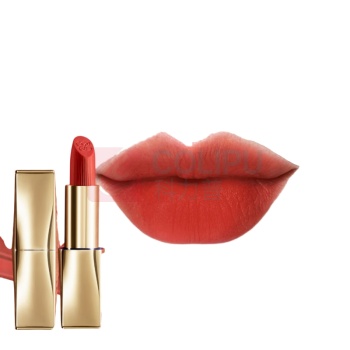 雅诗兰黛 Estee Lauder 绒雾哑光口红 333#干枫叶色