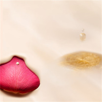 兰蔻 LANCOME 气垫 #110黄白皮持妆服帖养肤 13g