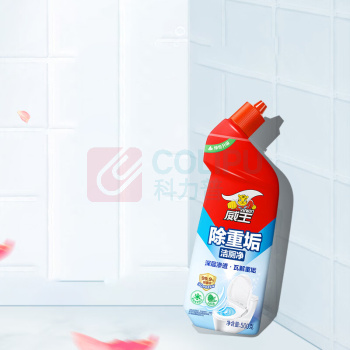 威王 VEWIN 除重垢洁厕净 500*2瓶/组