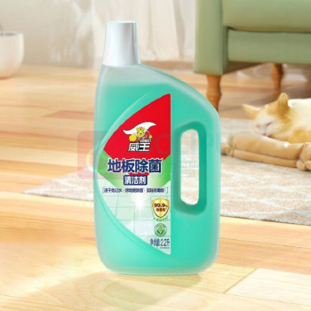 威王 VEWIN 地板清洁剂 抛光除菌强力去污 2.2L