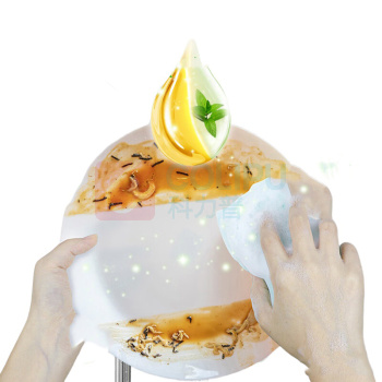 洗得宝 生物酵素洗洁精 绿茶清香 500g/瓶 高效去油护手洗洁精