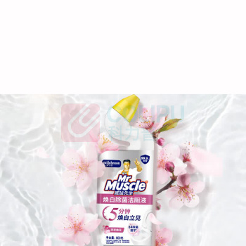威猛先生 洁厕剂 除菌洁厕液 2个/套 销售单位:套 (洁厕剂) (计量单位:个)