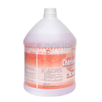 超宝 chaobao 酸性清洁剂 DFF019 3.8L  3.8升/瓶