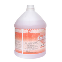 超宝 chaobao 酸性清洁剂 DFF019 3.8L  3.8升/瓶