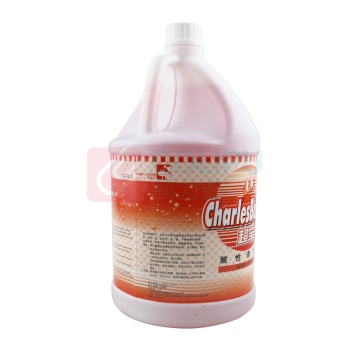 超宝 chaobao 酸性清洁剂 DFF019 3.8L  3.8升/瓶
