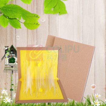 杜克恩 防蚊虫药具 5.00片/套 (黄色)
