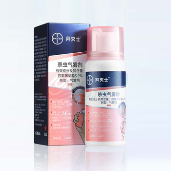 拜灭士 杀虫气雾剂 36ml 60瓶/箱