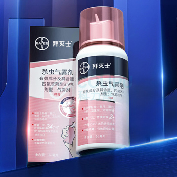拜灭士 杀虫气雾剂 36ml 60瓶/箱