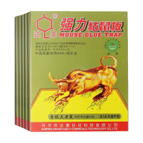 达豪 强力粘鼠板 A1#大金牛型  家用10张装