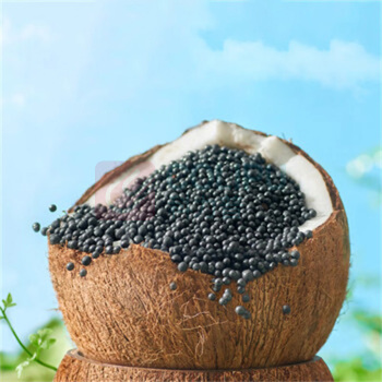 绿之源 GREEN SOURCE 活性炭 炭包 6kg