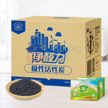 绿驰 净醛力极性活性炭 100g/包 62包/箱