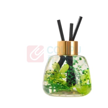 绿之源 GREEN SOURCE 无火香薰藤条 雨后栀子 Z-5031 120ml