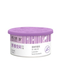 绿之源 GREEN SOURCE 芳香剂 z-0184 薰衣草香味 70g 1个/盒