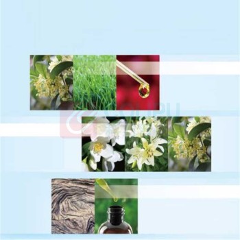 佳丽 Glade 空气清新喷雾 桂花香型 320ml 