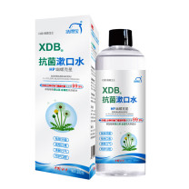 洗得宝 抗菌漱口水(家庭装) 天然植物萃取 杀灭幽门螺杆菌 300ml/瓶