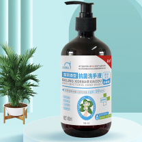 洗得宝 抗菌洗手液 480ml/瓶 茉莉花香抗菌水洗洗手液 (棕)