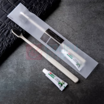 麦里 MAILI 一次性牙刷牙膏100套 AABD-55841