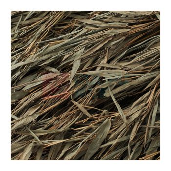 科力邦 Kelibang 竹枝连体竹扫把 3.5斤款 KB3425 100cm*200cm (黄青色)