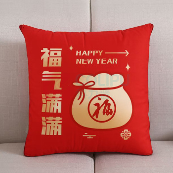 金爱丽 福气满满抱枕 C231201 40cm*40cm (红色) 面料数码绒,填充PP棉