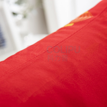 金爱丽 福气满满抱枕 C231201 40cm*40cm (红色) 面料数码绒,填充PP棉