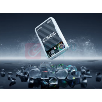 闪迪 SANDISK 充电宝 SP020A 10000mAh (本色)
