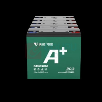 天能 电瓶电池 60V22AH 5只/组
