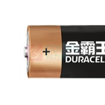金霸王 2号碱性电池 LR14 1.5V 2节/卡 12卡/盒 2盒/箱