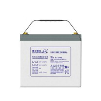 理士 电池-蓄电池直流屏铅酸免维护 DJM12100S 12V100Ah 