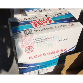 火炬 蓄电池动力型电动车旅游船蓄电池 6-DG-120 