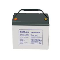 理士 免维护电池 DJM12100 (12V100Ah) 