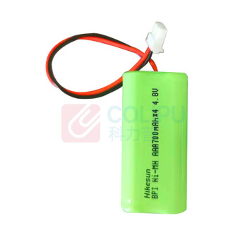 和齐顺 Hikesun 可充电镍氢电池 HQS-AR23 4.8V 700mAh 